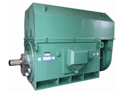 YJTKK4004-2YKK系列高压电机