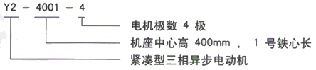 YR系列(H355-1000)高压YJTKK4004-2三相异步电机西安西玛电机型号说明